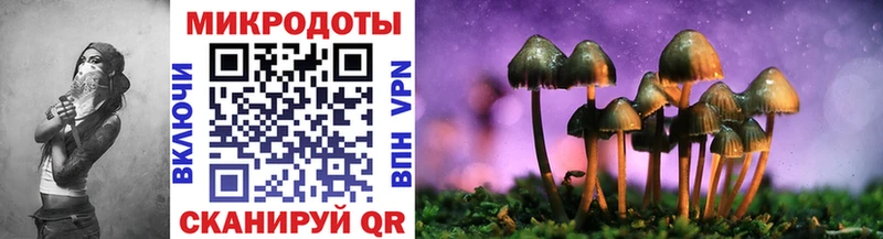 Псилоцибиновые грибы Psilocybine cubensis  Купить где  Голицыно 